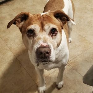 Meet your Posher, Holly